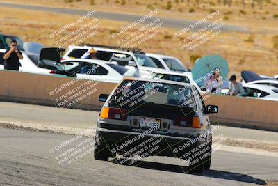 media/Feb-22-2025-Team Topak Racing (Sat) [[cb57a51a40]]/86 Party Brigade/Turns 13 and 14/